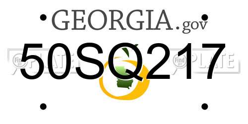 50SQ217 Georgia License Plate