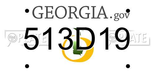 513D19 Georgia License Plate
