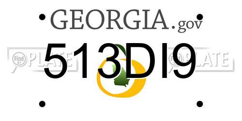 513DI9 Georgia License Plate