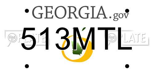 513MTL Georgia License Plate
