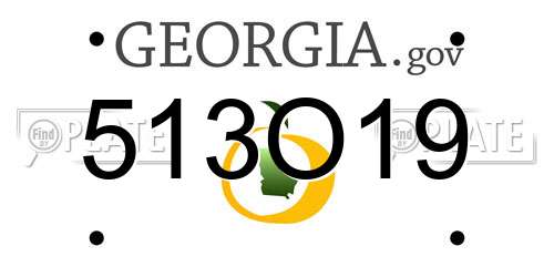 513O19 Georgia License Plate