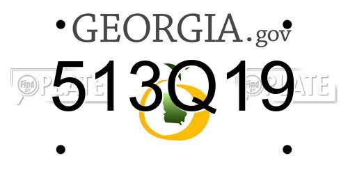 513Q19 Georgia License Plate