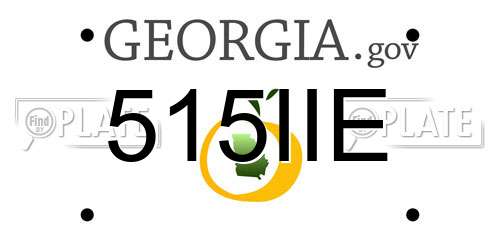 515IIE Georgia License Plate