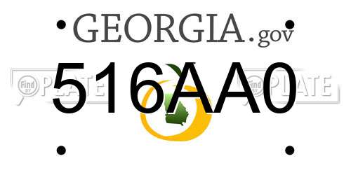 516AA0 Georgia License Plate