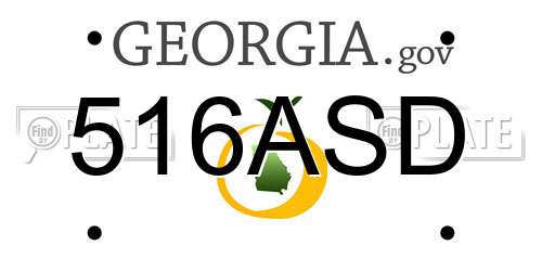 516ASD Georgia License Plate