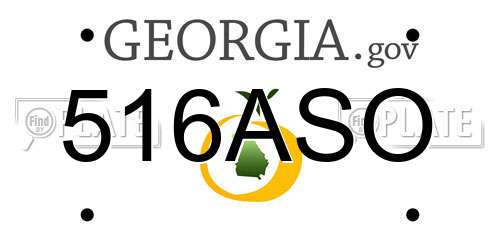 516ASO Georgia License Plate