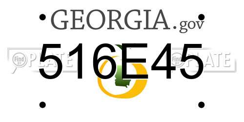 516E45 Georgia License Plate