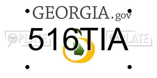 516TIA Georgia License Plate