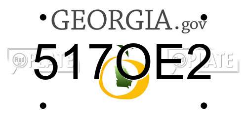 517OE2 Georgia License Plate