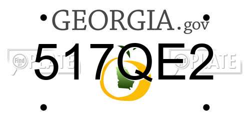 517QE2 Georgia License Plate