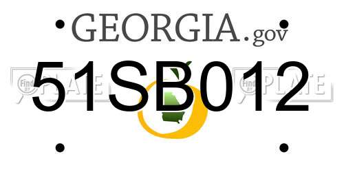 51SB012 Georgia License Plate