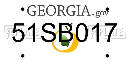 51SB017 Georgia License Plate