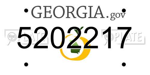 5202217 Georgia License Plate
