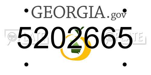 5202665 Georgia License Plate