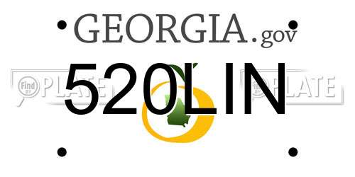 520LIN Georgia License Plate