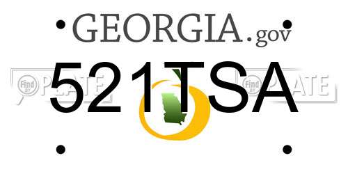 521TSA Georgia License Plate