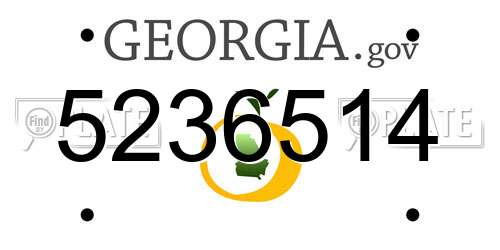 5236514 Georgia License Plate
