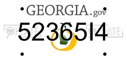 52365I4 Georgia License Plate