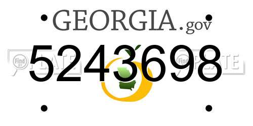 5243698 Georgia License Plate