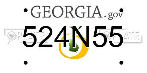 524N55 Georgia License Plate