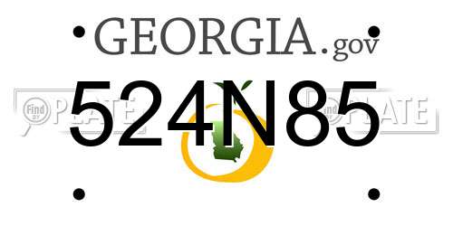 524N85 Georgia License Plate