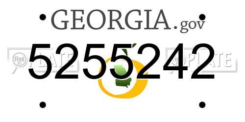 5255242 Georgia License Plate