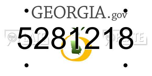 5281218 Georgia License Plate