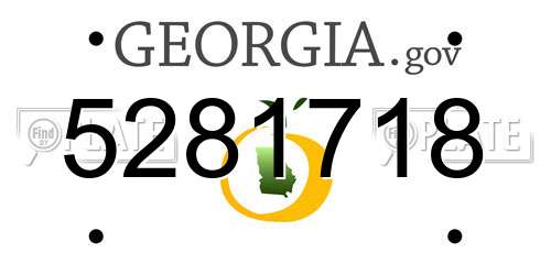 5281718 Georgia License Plate