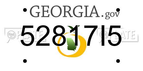 52817I5 Georgia License Plate