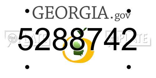 5288742 Georgia License Plate