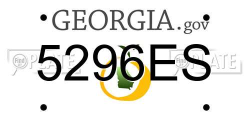 5296ES Georgia License Plate