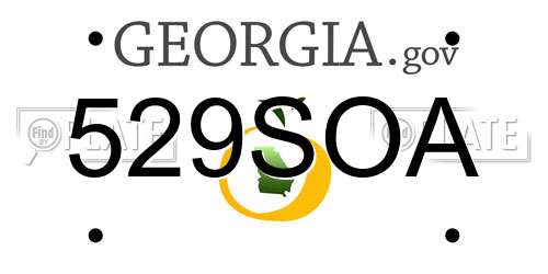 529SOA Georgia License Plate