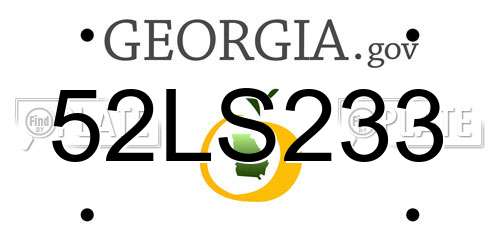 52LS233 Georgia License Plate