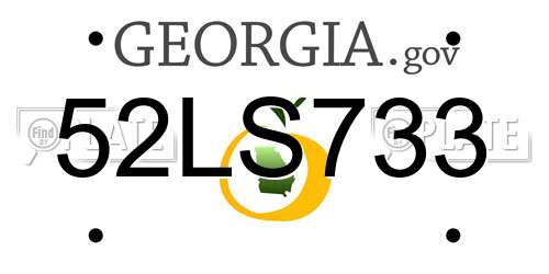 52LS733 Georgia License Plate