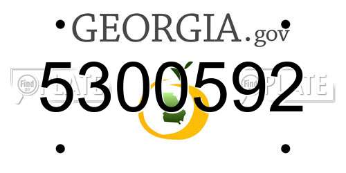 5300592 Georgia License Plate