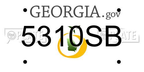 5310SB Georgia License Plate