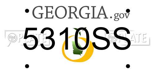 5310SS Georgia License Plate