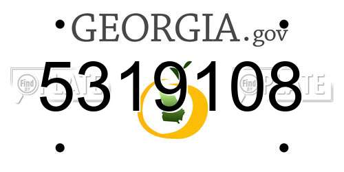 5319108 Georgia License Plate