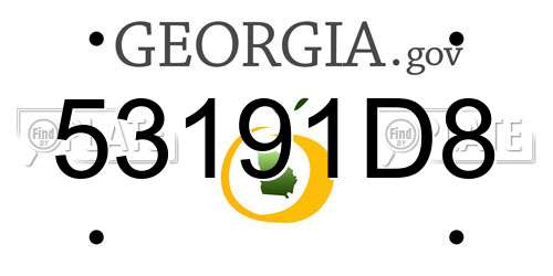 53191D8 Georgia License Plate