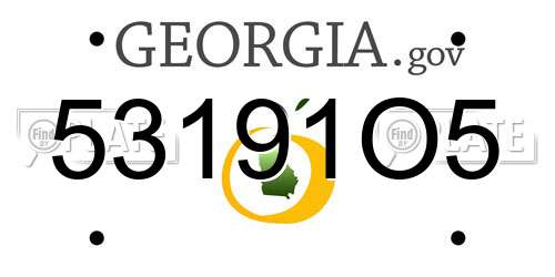 53191O5 Georgia License Plate