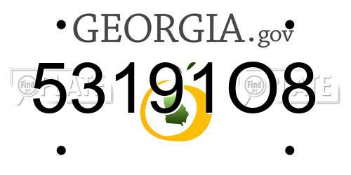 53191O8 Georgia License Plate