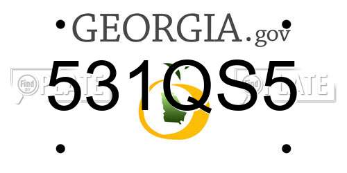 531QS5 Georgia License Plate