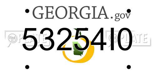 53254I0 Georgia License Plate