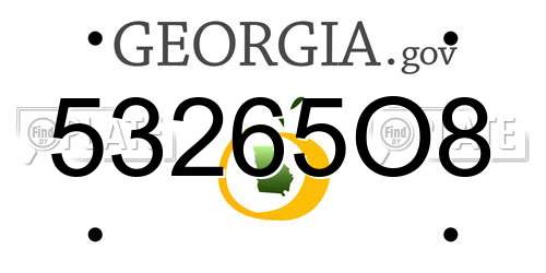 53265O8 Georgia License Plate