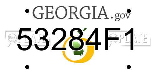 53284F1 Georgia License Plate