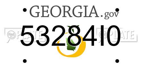 53284I0 Georgia License Plate