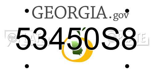 53450S8 Georgia License Plate