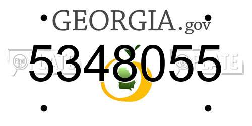 5348055 Georgia License Plate
