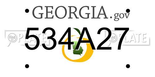 534A27 Georgia License Plate