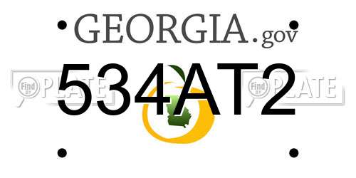 534AT2 Georgia License Plate